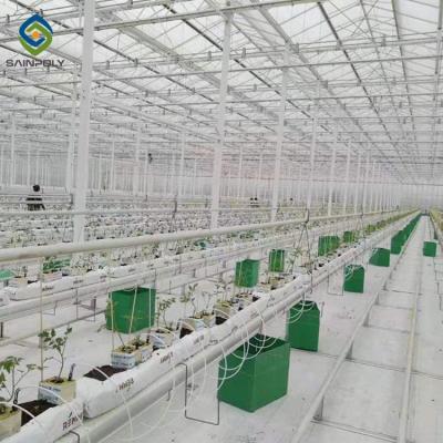 Κίνα Γεωργικές Hydroponics μεγάλες πολυ δομές χάλυβα θερμοκηπίων έκτασης προς πώληση