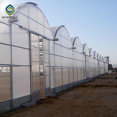 China 12m Polycarbonats-Gewächshaus-wachsende Wasserkultursysteme zu verkaufen