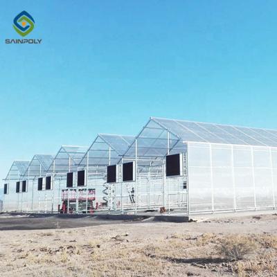 China Blumen-Polycarbonats-Gewächshaus des Hitzebeständigkeits-Skelett-12m zu verkaufen