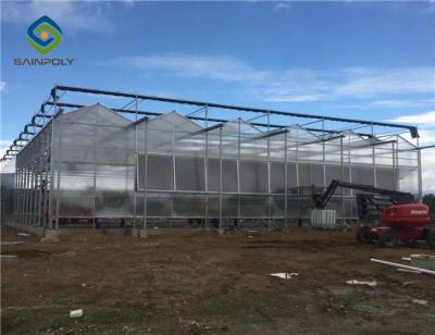 China Heißes eingetaucht galvanisierte Stahl-7.5m Polycarbonats-Gewächshaus zu verkaufen