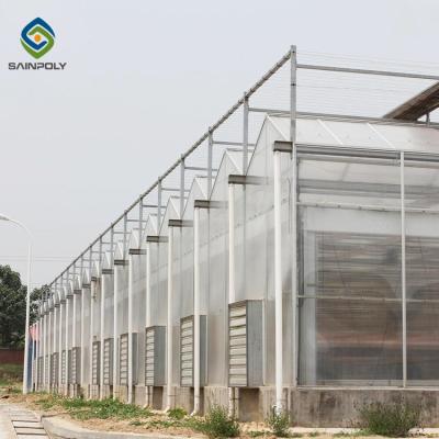 China Blumen-Polycarbonats-Gewächshaus-Hitzebeständigkeit des Skelett-12m zu verkaufen