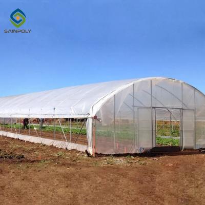 China 200 Micron Film Tomato Plastic Tunnel Greenhouse Single Span for sale