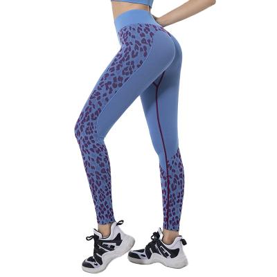 China KKXIU Women's Yoga Lifting Pants Seamless Quick Dry Leopard Print Breathable Hip Gaiters High Elastic Yoga Pants for sale