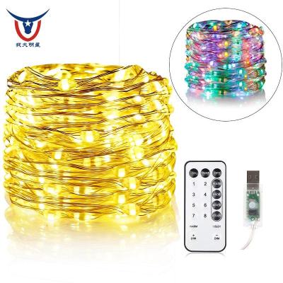 China Three Copper Wires LED String Lights, USB Plug-in Powered Copper Wire Fairy Lights, 33ft 100 Warm White LEDs, Multi Color Changes for sale