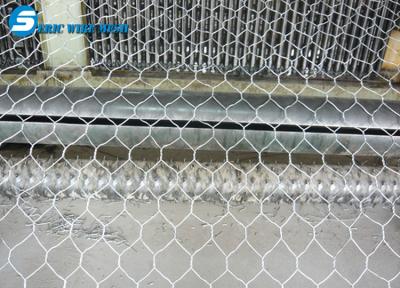 China Hexagonal Wire Mesh/Hexagonal Wire Netting/Gabion Mesh for sale