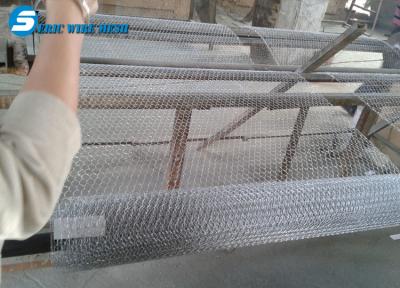 China Hot Dipped Chicken Wire mesh/gabion hexagonal wire mesh/hexagonal wire mesh for sale