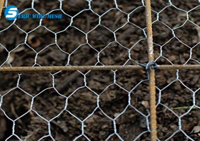 China China professional cheap chicken wire mesh specifications/poultry wire 1/2 Galvanized Hexagonal wire for sale