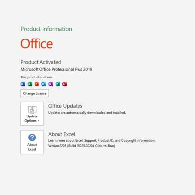 China Licença chave  Office 2019 de 5 Digitas do PC, chave global 2019 do produto de Excel à venda