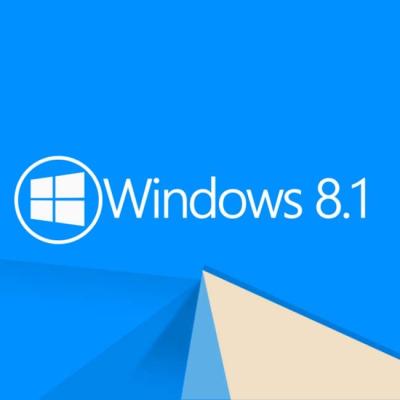 China Online 2pc-Windows activerensleutel voor Vensters 8,1 Activator Vensters met 64 bits 8,1 Beroe Te koop