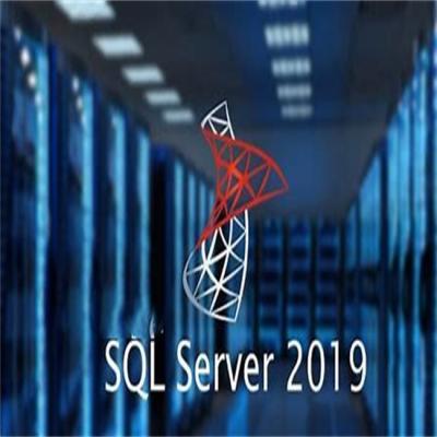 China Windows SQL Server des detaillierten Datenbankverwaltungssystems von zu verkaufen