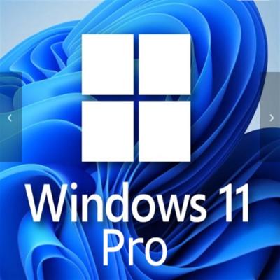 China Windows 11 Professional 1 Benutzerschlüssel für kleine Unternehmen erweitert zu verkaufen