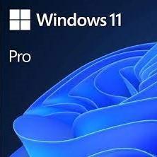 중국 Windows 11 Pro Oem Retail 1User Activation Key 판매용