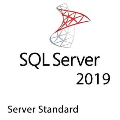 China SQL SERVER 2019 STANDARD KEY 16 CORES GLOBAL LIFETIME ACTIVATION (Schaubild für die Ausführung von SQL Server 2019) zu verkaufen