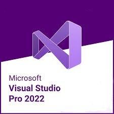 China Visual Studio Aktivierungsschlüssel Professional 2022 5 Benutzer Lifetime Lizenzschlüssel zu verkaufen