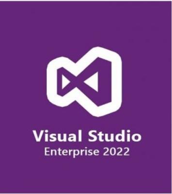 China Multilingual Visual Studio 2022 Enterprise Lifetime License Te koop