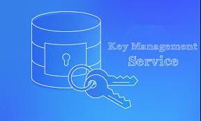 China Windows Server 2022 Standard Key Management Service Host Activation Key for sale