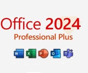 China Streamline Communication With Office 2024 Professional Plus License for sale