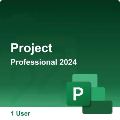 China Microsoft Project 2024 Professional Bind Versie Bind Key Online activering Te koop