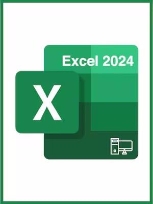 China Excel Bind 1 User Product License For The Latest 2024 Version for sale