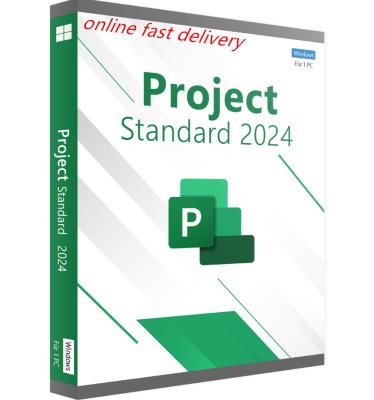 China Levenslange licentie voor Project Standard 2024 op Windows-platform Te koop