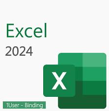 Китай Последнее Office 2024 Excel 2024 Bind License Key Гарантия 30 дней продается