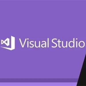 중국 20 Gb Visual Studio 활성화 키 100% 활성화 기업 코드 2019 제품 판매용