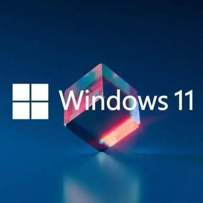 China Zuivere Levensduurvensters 11 Pro Periodieke Sleutel, RAM Windows 11 de Sleutel van de Onderwijsactivering Te koop