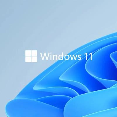 China Produkt-Schlüssel-Internet Scdkey GBs  Windows 11 der Lebenszeit-64 zu verkaufen