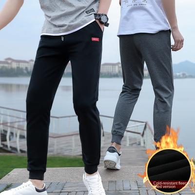 China New plush and thickened men's anti-pilling pants, men's elastic waist cotton Harlem sports pants, casual pants for sale