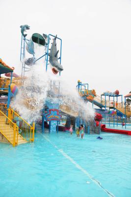 China Het Materiaal van het het Waterpark van de veiligheids Grote Schaal voor het Openluchtpark van het Waterthema Te koop