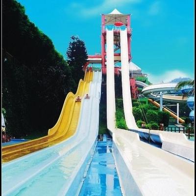 China Speed Water Slide For Adults / OEM Tall Fiberglass Water Slides for Giant Water Park for sale