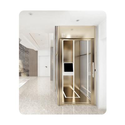 China Easy Operation Safety Convenience 1~6m Passenger 250kg Cheap Electric Residential Elevator for sale