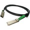 Cina 40 cavo ottico QSFP-H40G-CU1M 1Meter passivo della fibra QSFP di gigabit in vendita