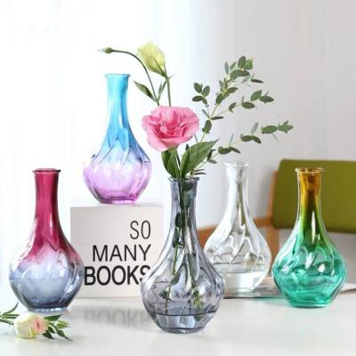 China Nordic minimalist creative simple transparent glass vase home decoration water bottle flower arrangement for sale