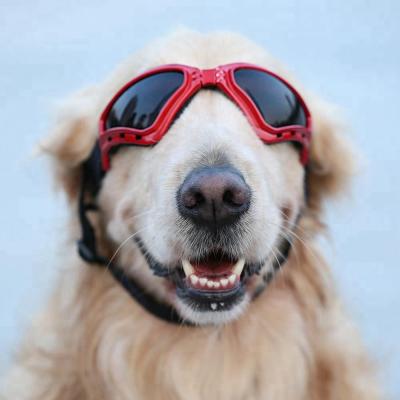 China Viable Sunglasses Purse Golden Retriever Goggles Pet Accessories Dog Sun UV Glasses for sale