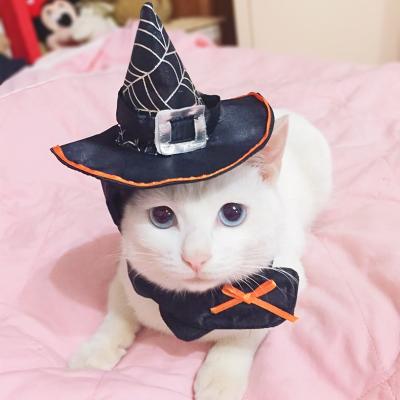 China Viable Dog Cat Apparel Holiday Cosplay Halloween Hat Costume Pet Dog Clothes Wholesale Wizard Hat For Cat for sale