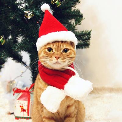 China Viable Santa Hat Wholesale Santa Claus Cosplay Pet Christmas Costume Dog Scarf Clothes For Cat for sale