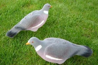 China Stackable Flocked Wood Pigeon Shell Decoys With 100% Flock Coate, Different Coloured Pigeon Decoys for sale