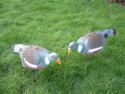 China Wood Pigeon Decoys With Flexi-Stakes, Eco-friendly Flocked Crow Decoys With Legs And Stick For Hunting for sale