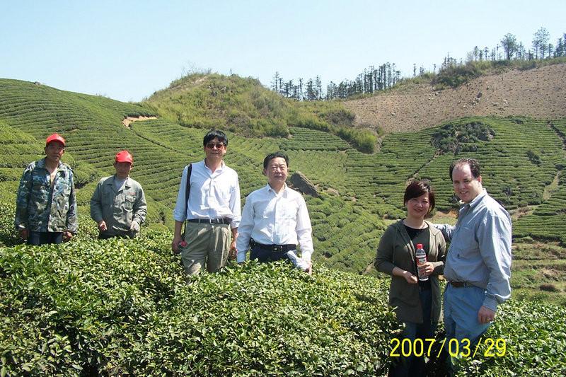 Proveedor verificado de China - Lin'an Dayang Tea Industry Co., Ltd