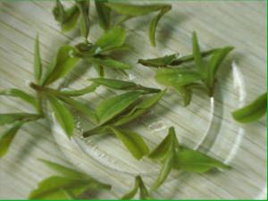 China El pozo hecho a mano del dragón/el té verde de Longjing, el 100% modificó el té orgánico de Lungching para requisitos particulares en venta