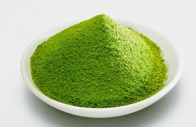 China Polvo orgánico japonés verde claro del té verde de Matcha con estándar de la UE en venta