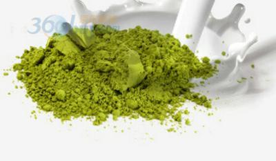 China Polvo orgánico inmediato sano del té verde de Matcha con el certificado del FDA en venta