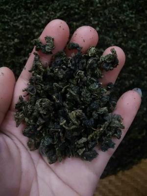 중국 고급 Tieguanyin Oolong 차, Gaba 거치된 유기 차 판매용