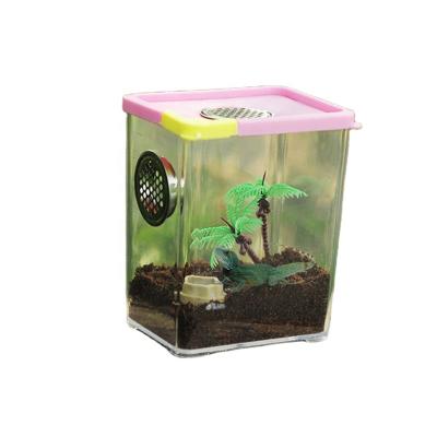 China High Breathable Transparent Acrylic Pet Reptile Insect Case Breathable Small Spider Breeding Box for sale