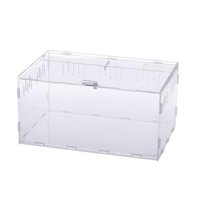 China Hot Viable High Quality Transparent Acrylic Cage Reptile Mini Greenhouse Reptile New Product New Product Pet Breeding Crawling Box for sale