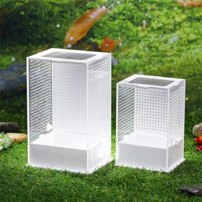 China New Transparent Acrylic Mini Reptile Greenhouse Insect Box Mantis Reptile Household Insect Cage Reptile Greenhouse for sale