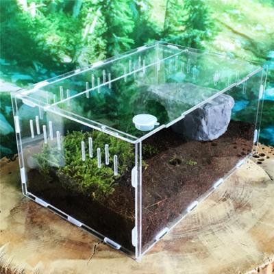 China Hot Sale New Product Breathable Pet Cage Foldable Cage House Transparent Acrylic Reptile Box for sale