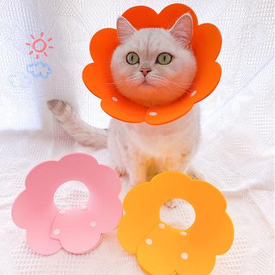 China Quick Release Flower Shaped Cat Recovery Collar Elizabethan Collar Coiled Healing Protective Cone For Pet Puppy for sale