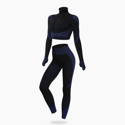 China Hot Sale Breathable Winter Women Seamless Fitness Yoga Wear Set Gym Gaiters Long Sleeve Jacket Fitness Sportswear Tracksuit for sale